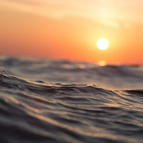 科技赋能餐饮行业，双轮驱动创新与变革